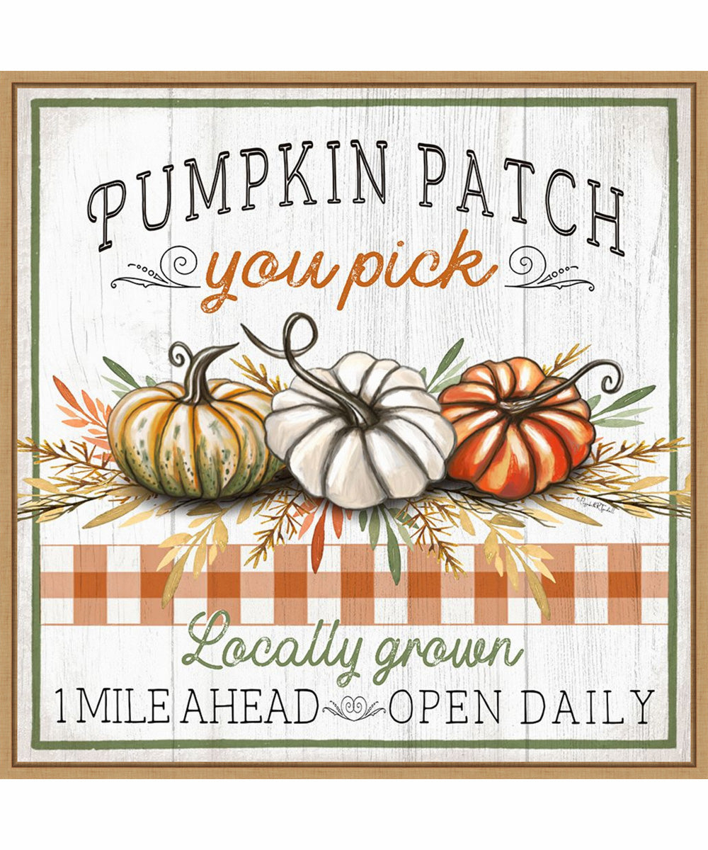 Framed Pumpkin Patch by Elizabeth Tyndall Canvas Wall Art Print (30  W x 30  H), Sylvie Maple Frame