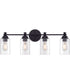 Dardyn 4-Light Vanity Flat Black