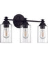 Dardyn 3-Light Vanity Flat Black
