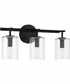 Hailie 3-Light Vanity Flat Black