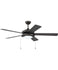 Ceiling Fans with Remotes