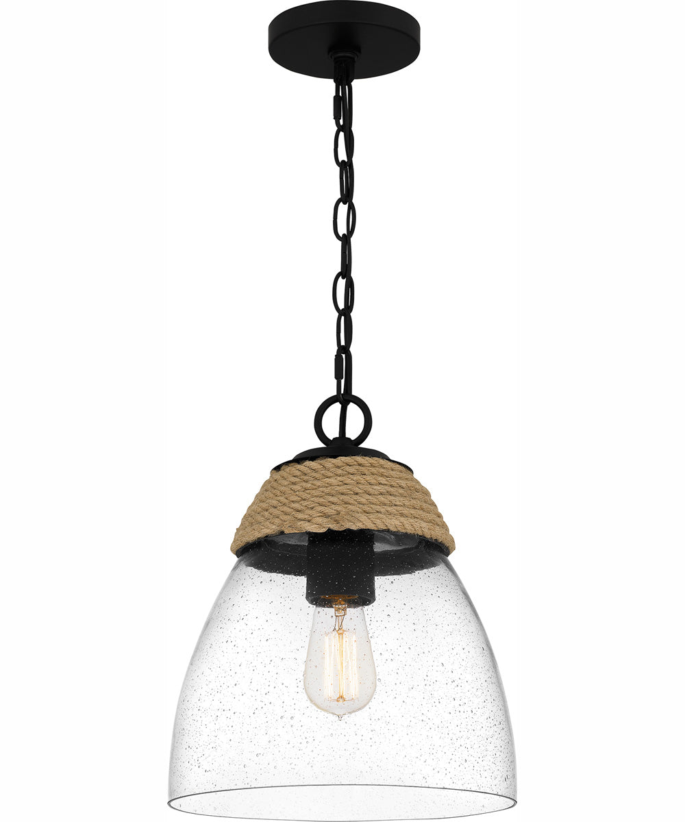 Quoizel Piccolo Pendant 1-light Mini Pendant Matte Black
