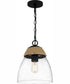 Quoizel Piccolo Pendant 1-light Mini Pendant Matte Black