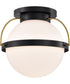 Lakeshore 1-Light Close-to-Ceiling Matte Black
