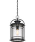 Booker Large 1-light Outdoor Pendant Light Mystic Black