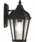 Briarwick 1-Light Outdoor Wall Lantern Matte Black