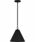 Quoizel Piccolo Pendant 1-light Mini Pendant Matte Black