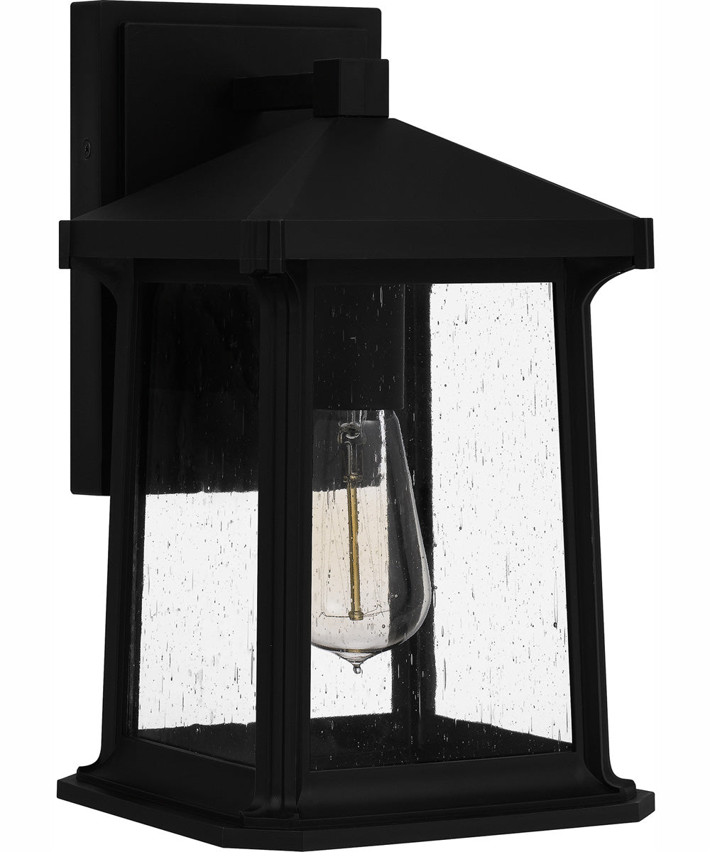 Satterfield Medium 1-light Outdoor Wall Light  Coastal Armour Matte Black
