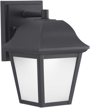 1-Light LED Small Wall Lantern Textured Black