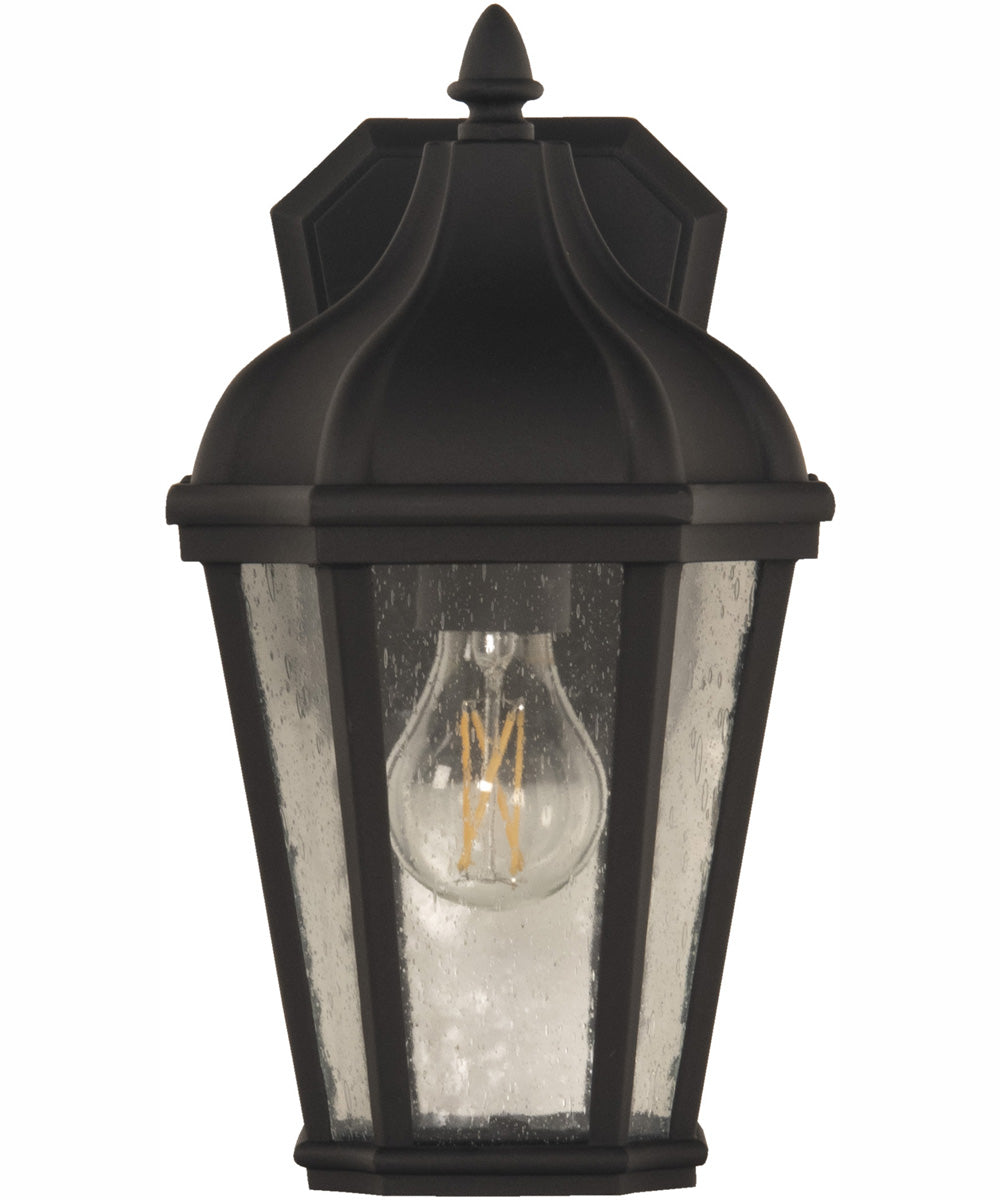Briarwick 1-Light Outdoor Wall Lantern Matte Black