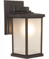 Resilience Lanterns 1-Light Outdoor Wall Lantern Bronze