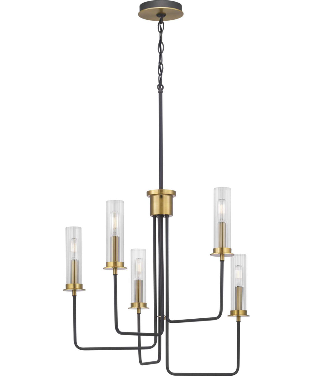Rainey 5-Light Clear Fluted Ribbed Glass Modern Chandelier Light Graphite
