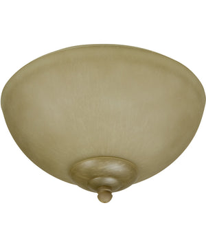 Universal Bowl Light Kit 2-Light LED Fan Light Kit Tea Stained