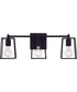 Dunn 3-Light Vanity Flat Black