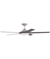 Large Ceiling Fans