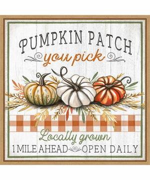 Framed Pumpkin Patch by Elizabeth Tyndall Canvas Wall Art Print (22  W x 22  H), Sylvie Maple Frame