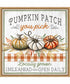 Framed Pumpkin Patch by Elizabeth Tyndall Canvas Wall Art Print (22  W x 22  H), Sylvie Maple Frame