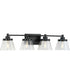 Hinton 4-Light Clear Seeded Glass Farmhouse Bath Vanity Light Matte Black