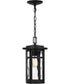 Uma Large 1-light Outdoor Pendant Light Matte Black