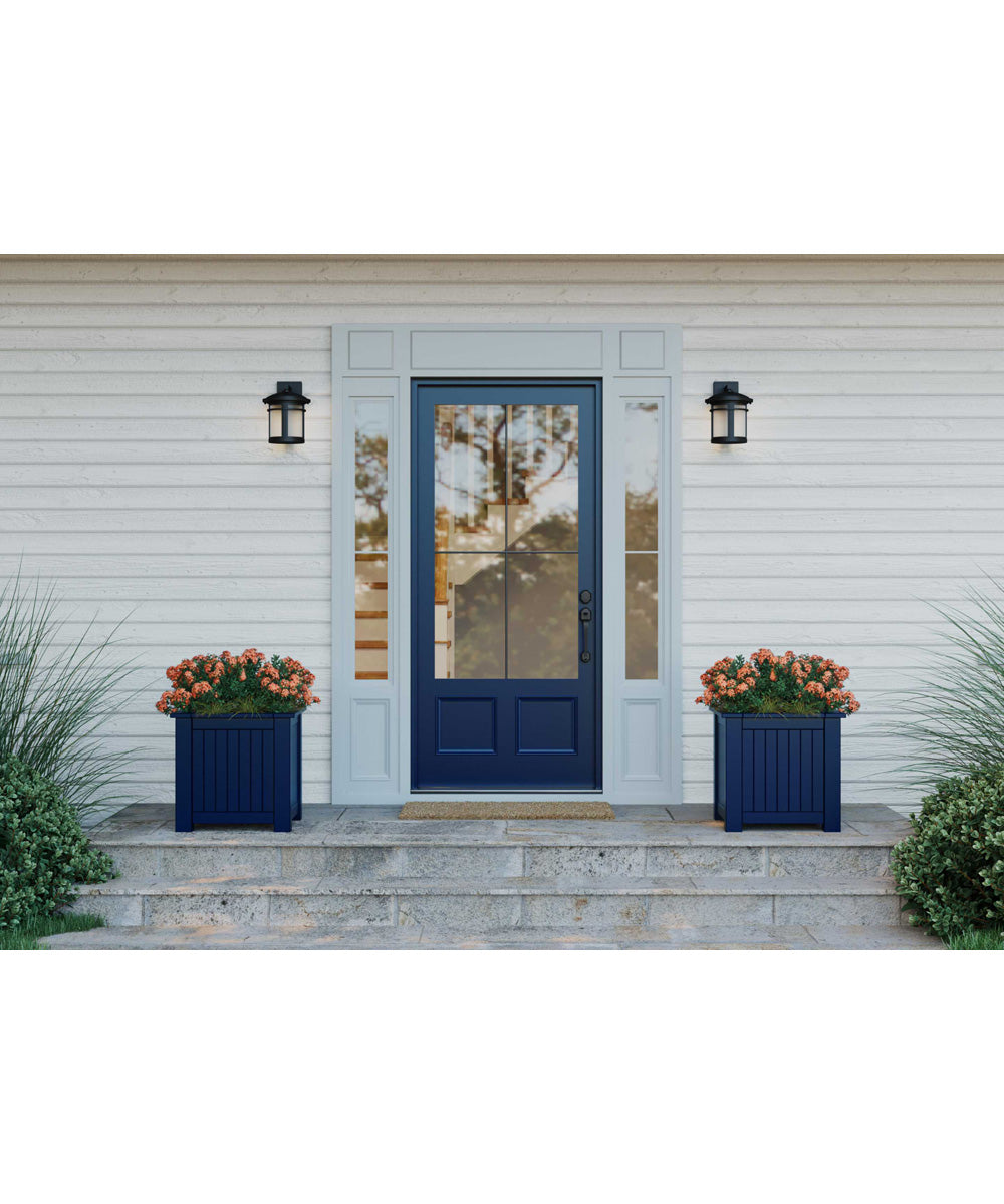 Wish 1-Light Medium LED Wall Lantern Textured Black