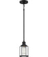 Ludlow Small 1-light Mini Pendant Earth Black