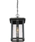 Everglade Large 1-light Outdoor Pendant Light Earth Black