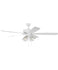 Ceiling Fans and Accessories
