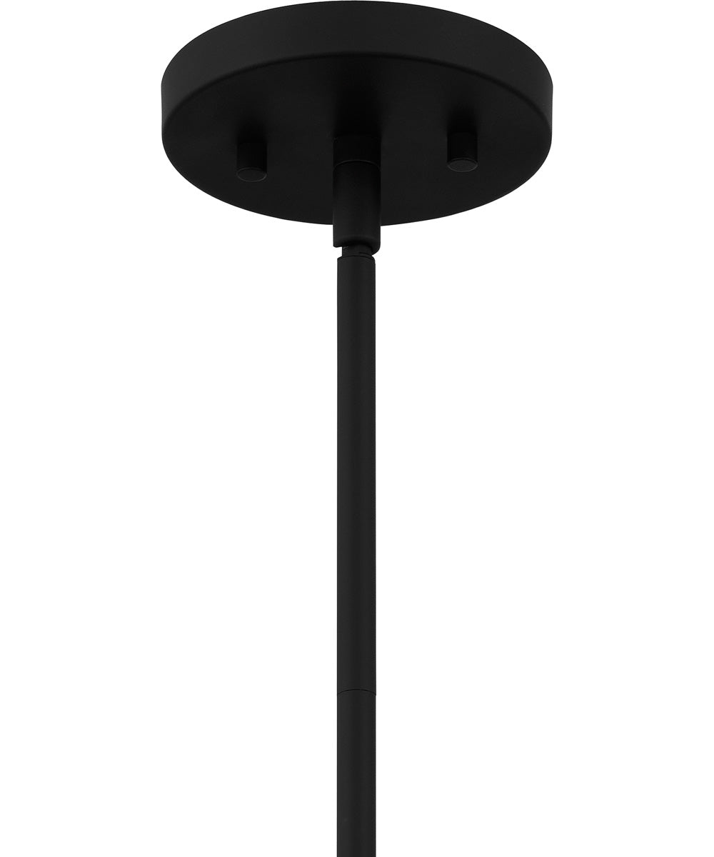 Appleton Large 2-light Pendant Matte Black