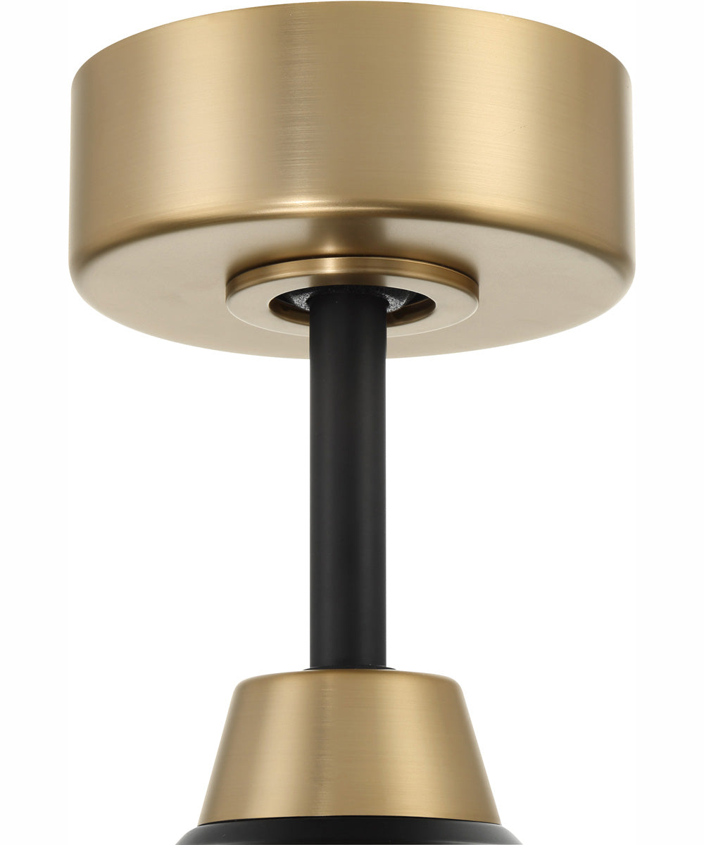 60" Envy 1-Light Indoor/Outdoor Ceiling Fan Flat Black/Satin Brass
