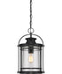 Booker Large 1-light Outdoor Pendant Light Mystic Black