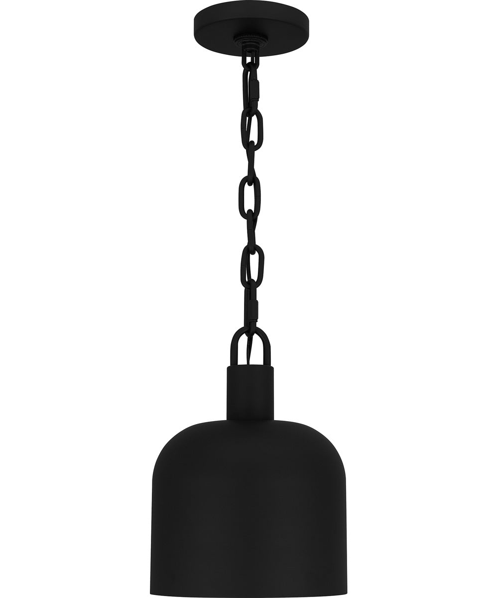 Quoizel Piccolo Pendant Small 1-light Mini Pendant Matte Black