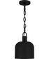 Quoizel Piccolo Pendant Small 1-light Mini Pendant Matte Black