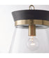 Finn 1-Light Pendant Black Stain and Matte Brass