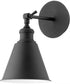 1-light Wall Mount Light Fixture Textured Black