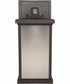 Resilience Lanterns 1-Light Outdoor Wall Lantern Bronze