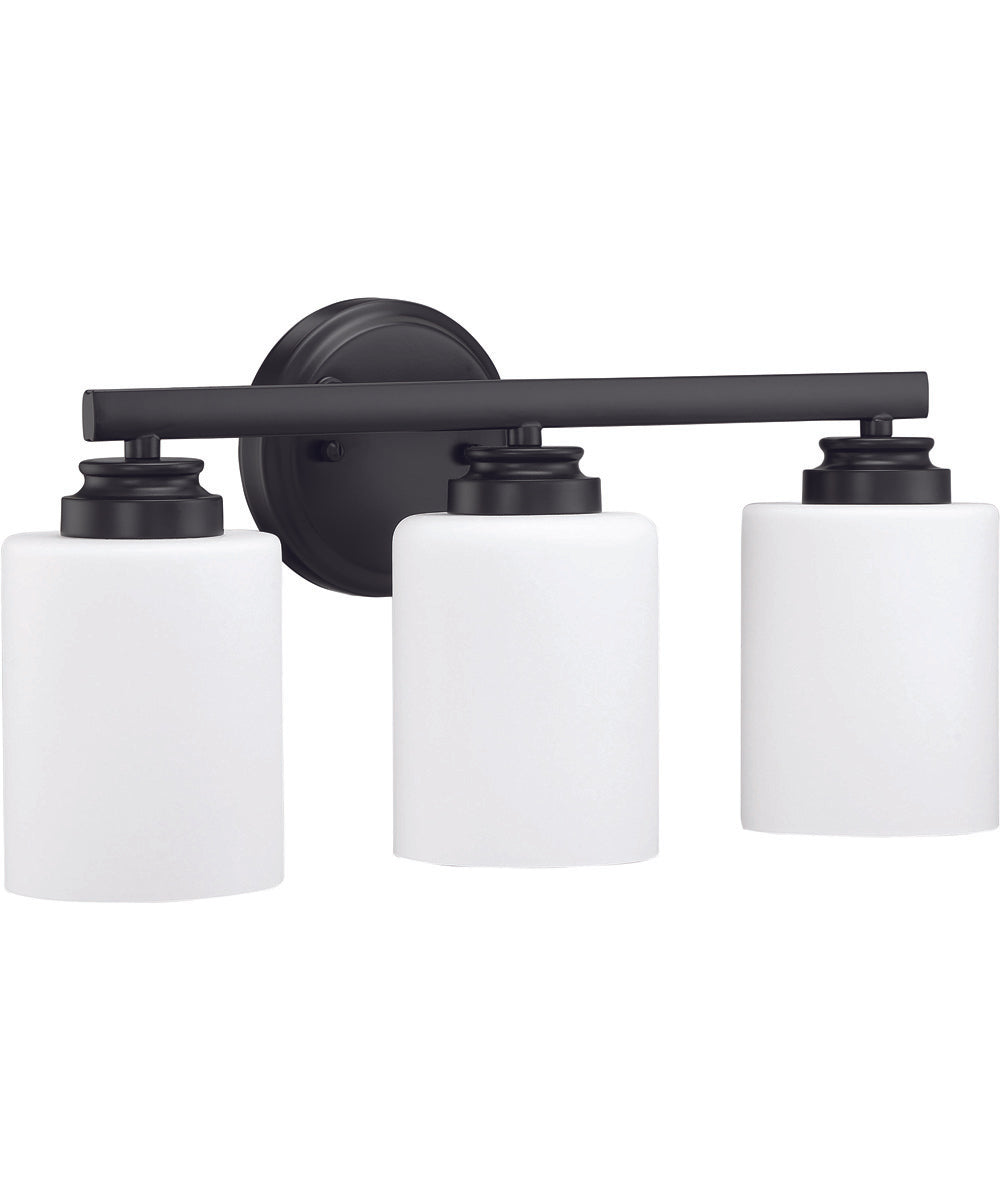 Bolden 3-Light Bath Vanity Light Flat Black