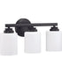 Bolden 3-Light Bath Vanity Light Flat Black