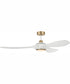 60" Envy 1-Light Indoor/Outdoor Ceiling Fan White/Satin Brass