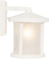 Resilience Lanterns 1-Light Outdoor Wall Lantern Matte White