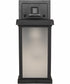 Resilience Lanterns 1-Light Outdoor Wall Lantern Matte Black