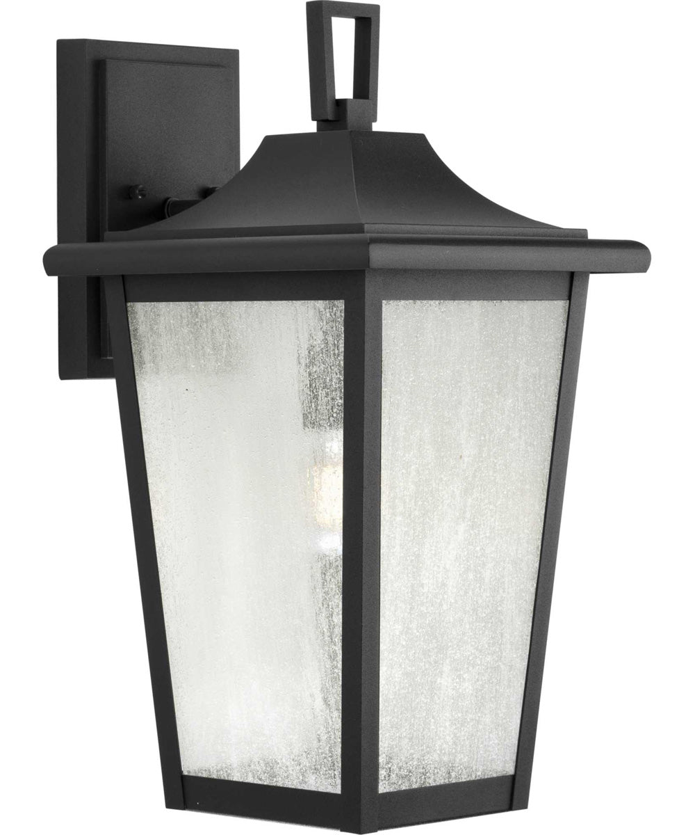 Padgett 1-Light Transitional Clear Seeded Glass Outdoor Wall Lantern Textured Black