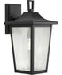 Padgett 1-Light Transitional Clear Seeded Glass Outdoor Wall Lantern Textured Black