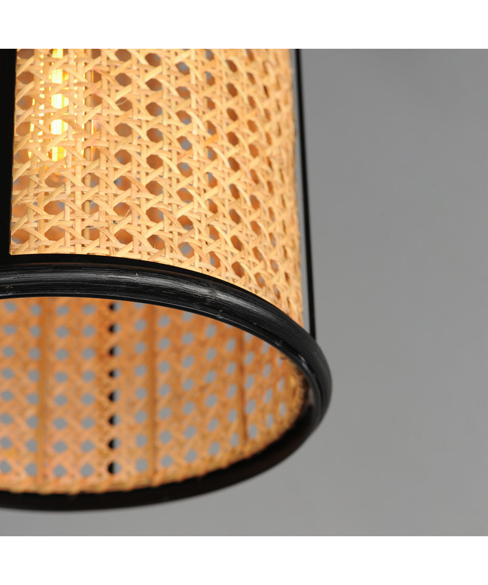 Cane 1-Light Pendant Black