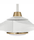 60" Envy 1-Light Indoor/Outdoor Ceiling Fan White/Satin Brass