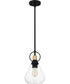 Quoizel Piccolo Pendant Small 1-light Mini Pendant Matte Black