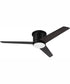 52" Cole 1-Light Ceiling Fan Flat Black