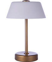 USB Desk Lamps