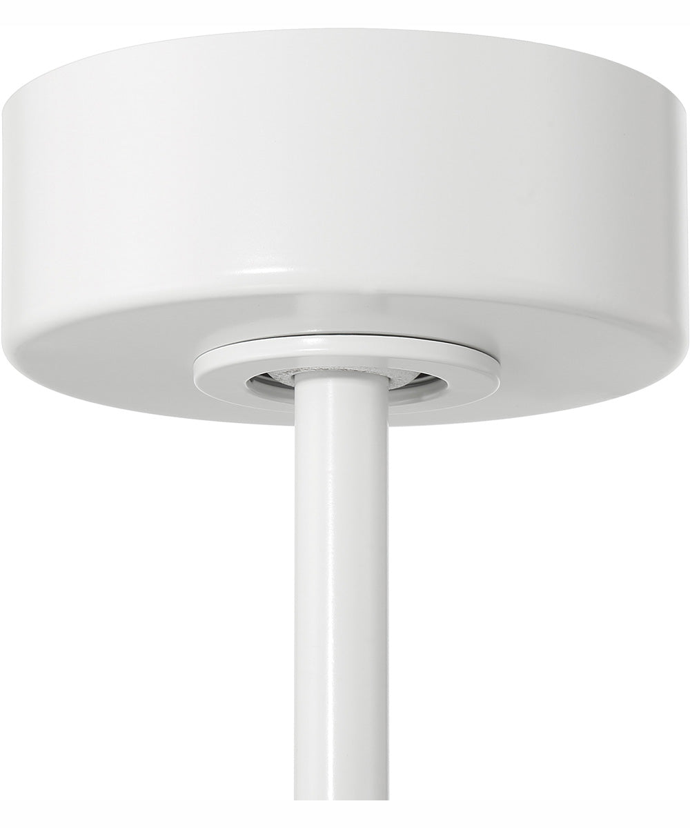 60" Envy 1-Light Indoor/Outdoor Ceiling Fan White