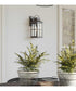 Williamston 1-Light Clear Glass Transitional Style Medium Outdoor Wall Lantern Antique Pewter