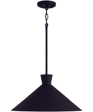 Paloma 1-Light Pendant Textured Black